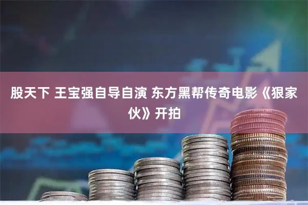 股天下 王宝强自导自演 东方黑帮传奇电影《狠家伙》开拍